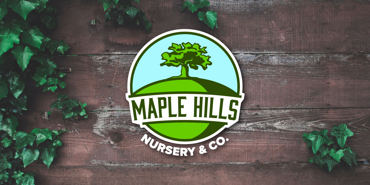 Maple Hills logo on wooden background